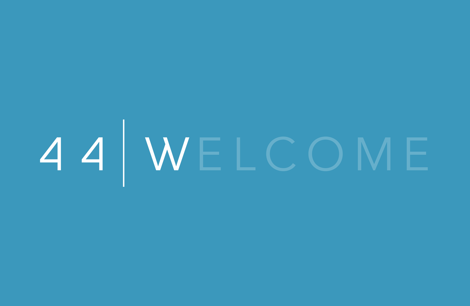 44W-Image-8